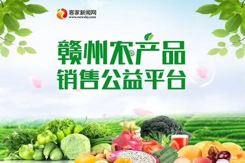 手持長槍短炮，融入疫線農產品 記錄與守護的希望瞬間